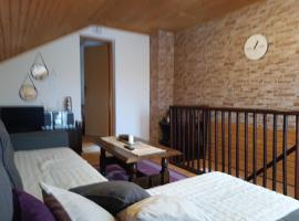 Relaks dream, hotel Vlasicban