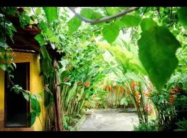 BOIPEBA Cantinho do Mirko 3