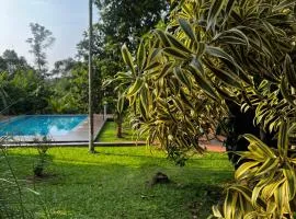 Avocado Orchards - Villa