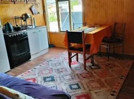 Departamento centro Quellon