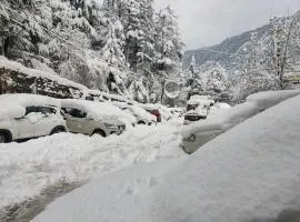 Neo Royal View Cottageee- The Cozy Stay Lodge Manali