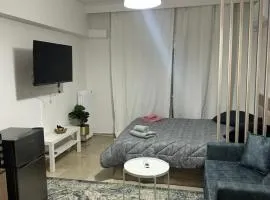 Downtown Balcony apartment Larissa