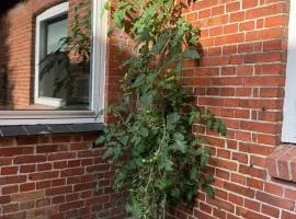 The Coziest Farm Holiday In The Countryside