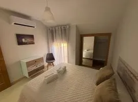 Duplex entre molinos Consuegra