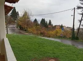 Golden Hearth Mountain Chalet