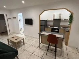 Bel appartement rénové en cœur de ville