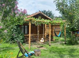 Tiny houses Genacvale, hotel in Martvili
