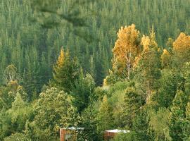 Serene Cabin in a Private Forest, khách sạn ở Sedgefield