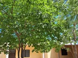Cabañas los algarrobos