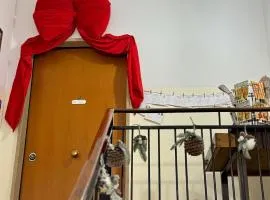 Country Rooms Medicina B&B - Free Breakfast - Air Conditioning - WiFi