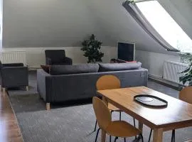 L apartamentai su nemokamu parkingu