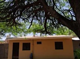 Cabañas los algarrobos