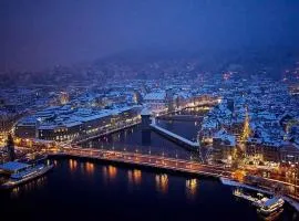 Mount Pilatus view Apartment Lucerne with free parking & WIFI