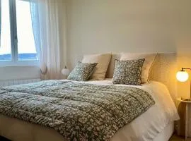 Les Chantereines maison calme au cœur du vignoble champenois