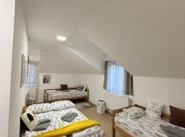 Vila Aurora , 50m od Gondole Brzece