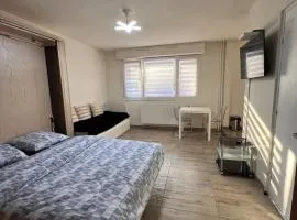 STUDIO 50m de gare de st-louis