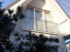 Vila Domino
