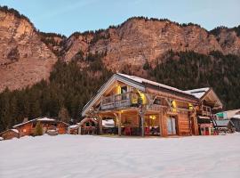 Chalet le Nid independant mountain chalet, Hotel in Morzine