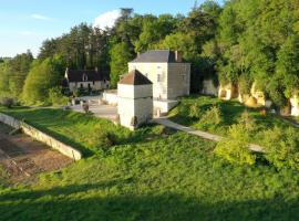 Magnifique maison de famille, 7 chbres,13 lits, 5' zoo, Hotel in Seigy