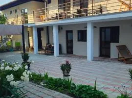 Casa Tineretului 50