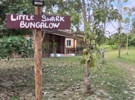 Little Shark bungalow