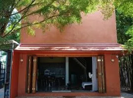 Tim T Studio Art of living