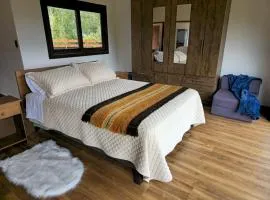 HOM I Cabaña La Ensenada vista parcial al Volcán