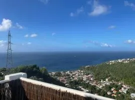 Élégant T2 avec vue sur la mer des Caraïbes