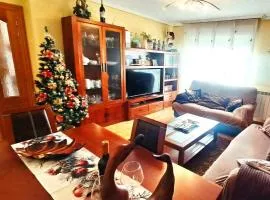 Garnacha Tinta VT-LR-2179