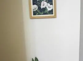 Refúgio Premium UNIRP Av Roberto Marinho