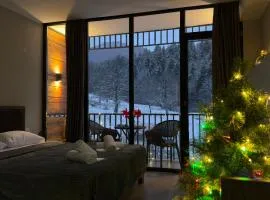 Didveli Gallery Bakuriani B202 დიდველი გალერეა ბაკურიანი B202