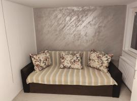 Garsoniera 20m2 anexată la casa proprietarului, alojamiento con cocina en Botoşani