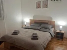 Apartman Fortuna Centar