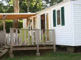 Mobil home spacieux avec terrasse à Payrac - API-1-52-1224