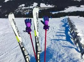 Olmhaus mit Sauna und E-Bikes