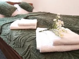 Daisy Apart SKI OUT SKI IN Vila Bela Reka Brzece