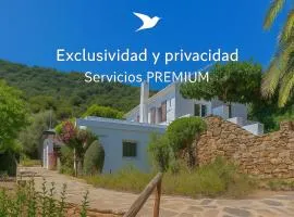 Casa Pájaro del Músico, Bologna