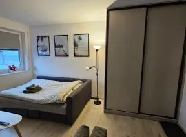 Apartament Studio Centrum