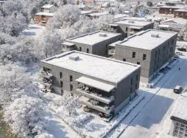 AlpinHerz Bio Penthouse Apartment