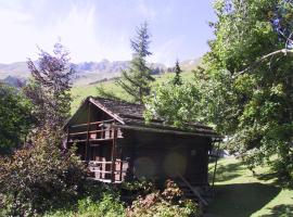Mazot de l' Arche de Noé、ヴェルビエのホテル