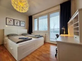 Park View City Center Location Apartment with Balcony