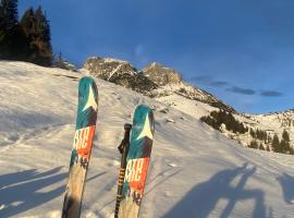 Alpen Appartements Oberlehengut，位于维尔芬翁的酒店