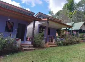 โบว์ โฮมสเตย์ปางอุ๋ง