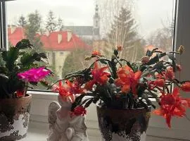 Apartament na Chrobrego