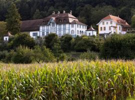 Ch&acirc;teau de Marnand - Duplex &agrave; la ferme、Granges-pr&egrave;s-Marnandのプール付きホテル
