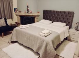 Choudetsi에 위치한 호텔 Filoxenia