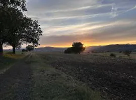 Unique Chambre 1 Centre Équestre Snack
