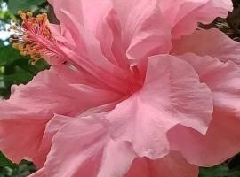 The Crown, hôtel à Margate