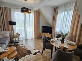 Apartament Ruczaj