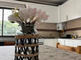 depto a cuadras del centro con cochera y vista a la montaña